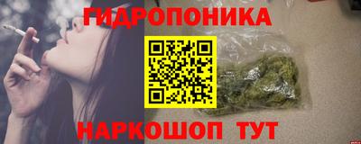 стаф Славгород