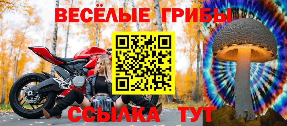 Галлюциногенные грибы мухоморы  Вход с VPN  Прокопьевск 