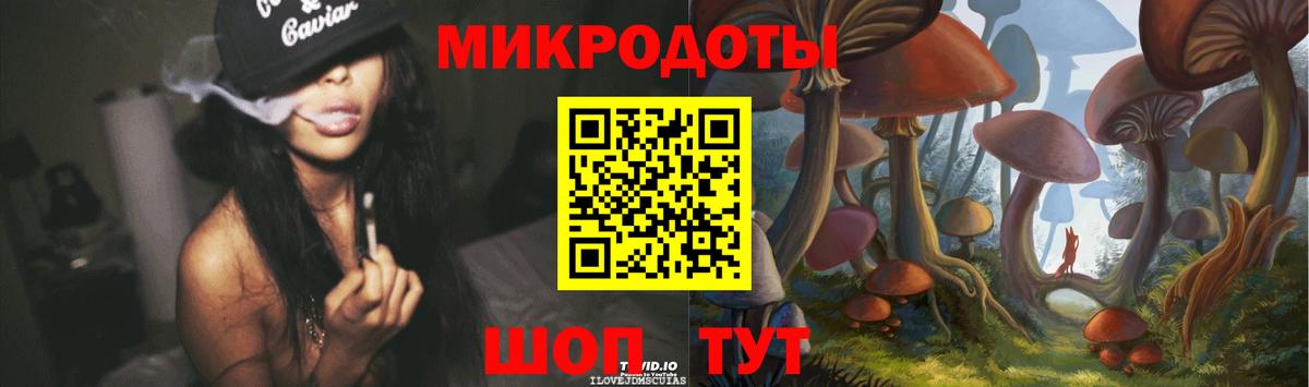 Галлюциногенные грибы Psilocybine cubensis Прокопьевск