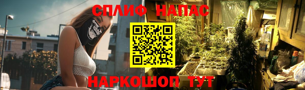 Бошки Шишки VHQ Прокопьевск